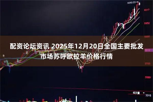 配资论坛资讯 2025年12月20日全国主要批发市场苏呼欧拉羊价格行情